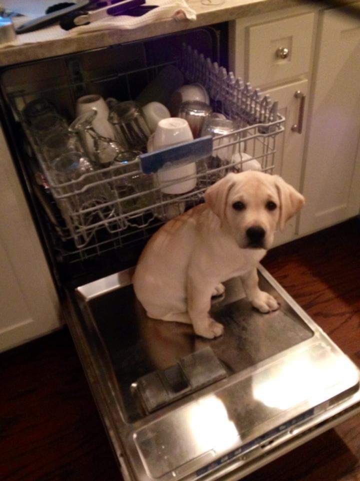 Laura McLeod tweet media