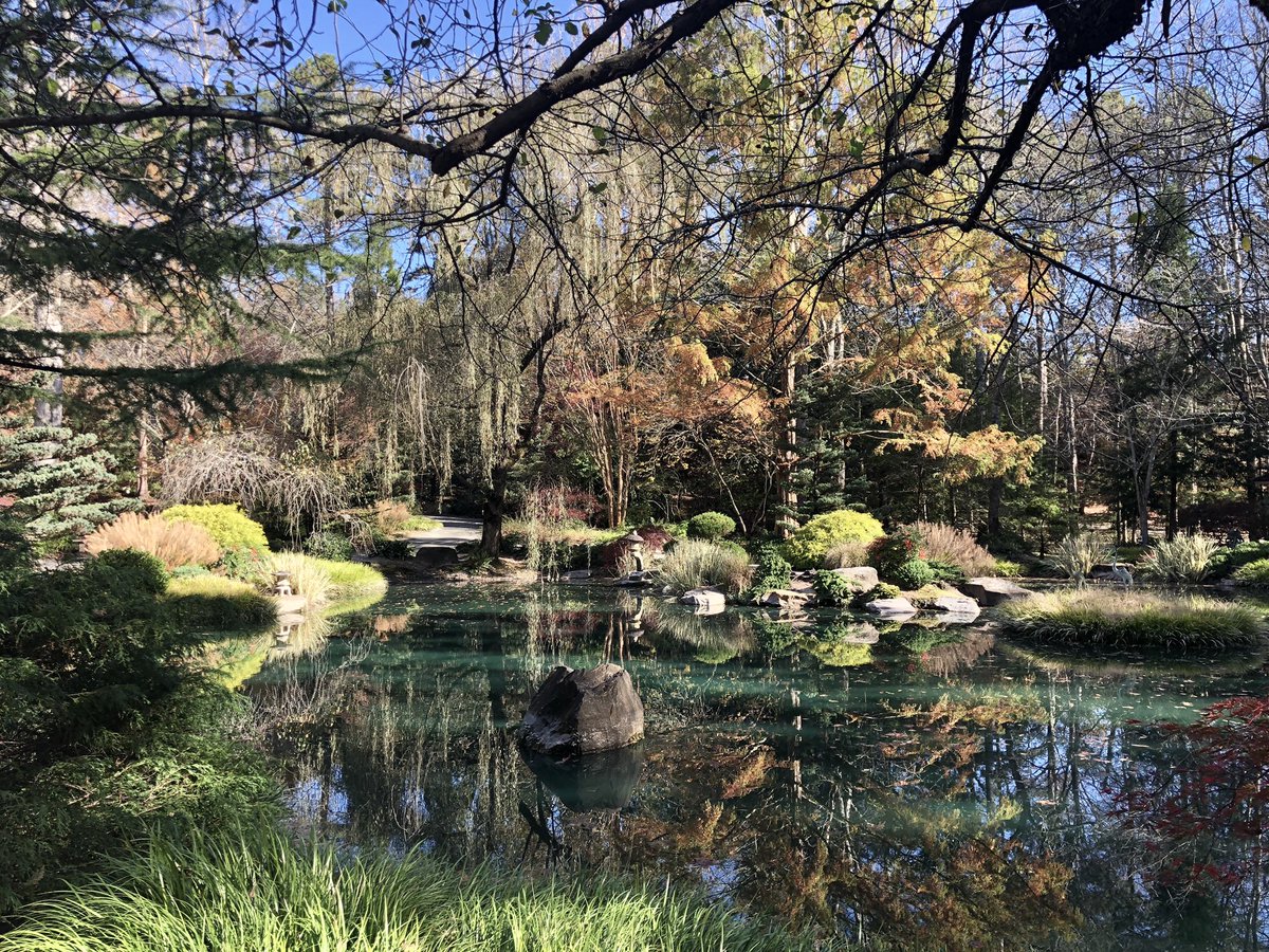 jeffsheehan's tweet photo. The stunning Japanese Gardens @GibbsGardens . #GibbsGardens #Gardens #JapaneseGardens #BallGround #GA #Georgia https://t.co/fDMYZe5m0P
