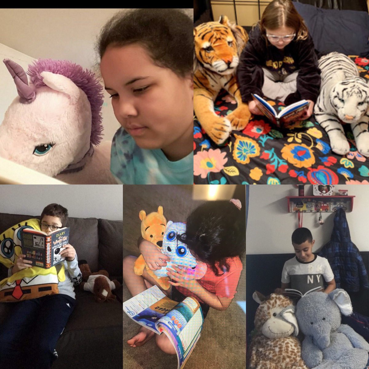 Courtney Kwiatkowski tweet media