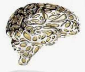 ecalixto's tweet photo. No vas aprender nada,
¡NADA!
si siempre
crees tener la razón.

      Atentamente, tu Cerebro

#NocheNeuroTuits https://t.co/CCCsRtx7VL