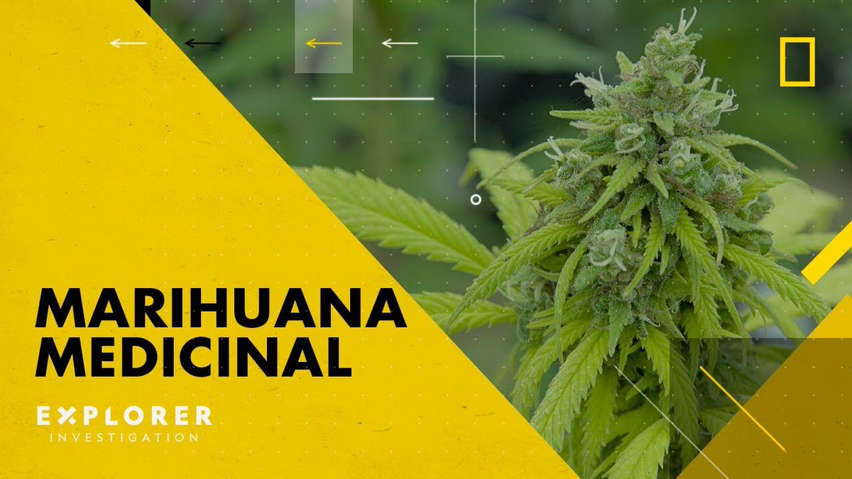 CooproAnanda's tweet photo. #ExplorerInvestigation | #MarihuanaMedicinal Este episodio examina la situación en la que se encuentra el uso de la marihuana medicinal y su legislación en América Latina | @NatGeo_la
📲https://t.co/TCk07XnN2a https://t.co/mrK3y6OGK0