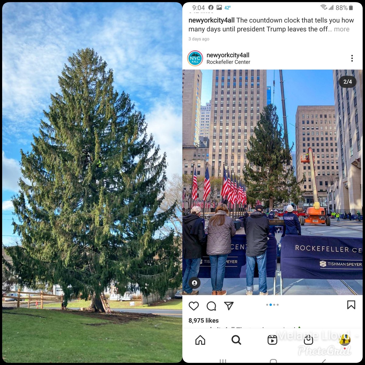 Cancer And My Name Is On Twitter Rockefeller Center Christmas Tree Match Profile Pic Vs 1st Date Charliebrown Cancer And My Name Is On Twitter Rockefeller Center Christmas Tree Match Profile Pic Vs 1st Date Charliebrown