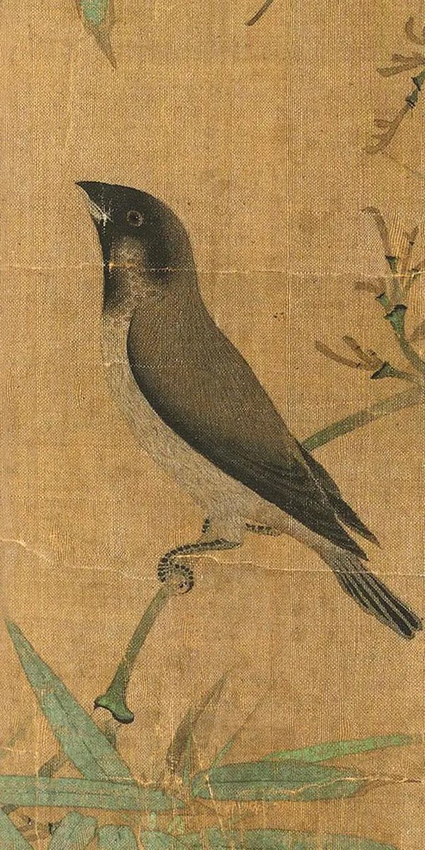 ボタニカルアート 植物画 枇杷 原画 一点物 中山明子 侵攻