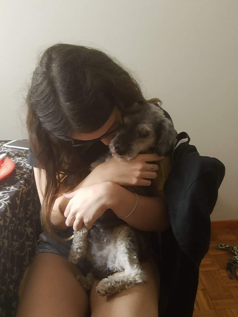 caroyjules's tweet photo. yo: ay ojala caro no malcrie mucho a mi perro que después hace lo que él quiere
mientras tanto caro: https://t.co/Tvbnv9aZP2
