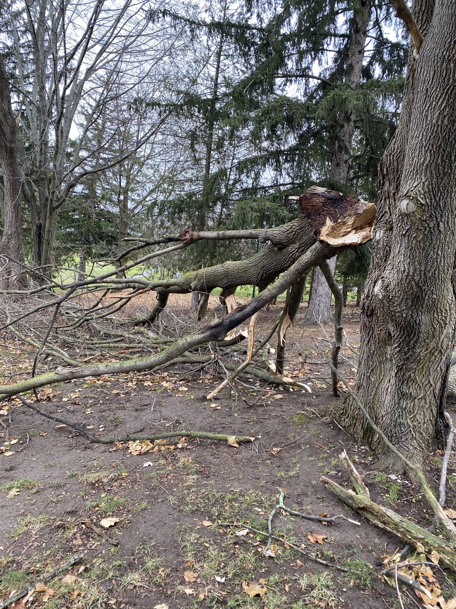 pgccgreens's tweet photo. A little windy lately. #pgcc2020 https://t.co/NO5Ysr998N