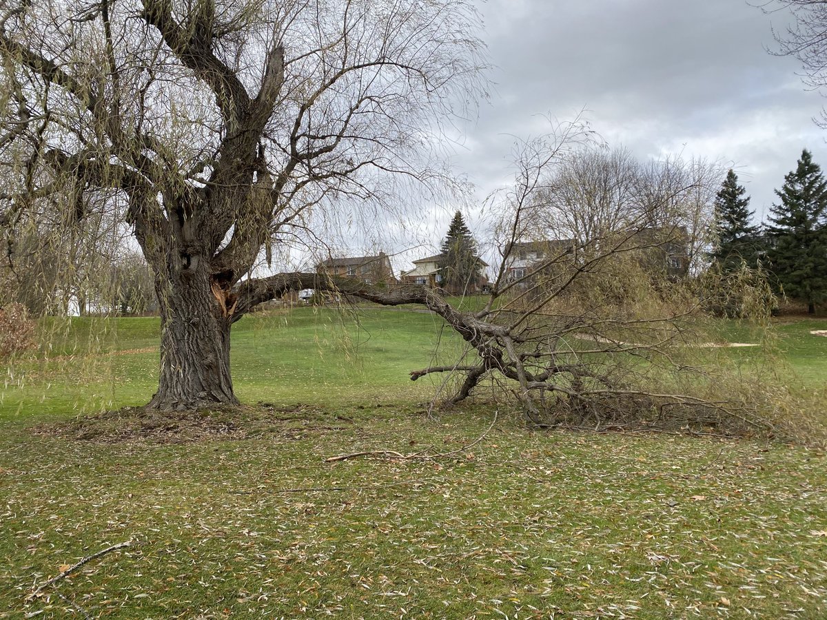 pgccgreens's tweet photo. A little windy lately. #pgcc2020 https://t.co/NO5Ysr998N