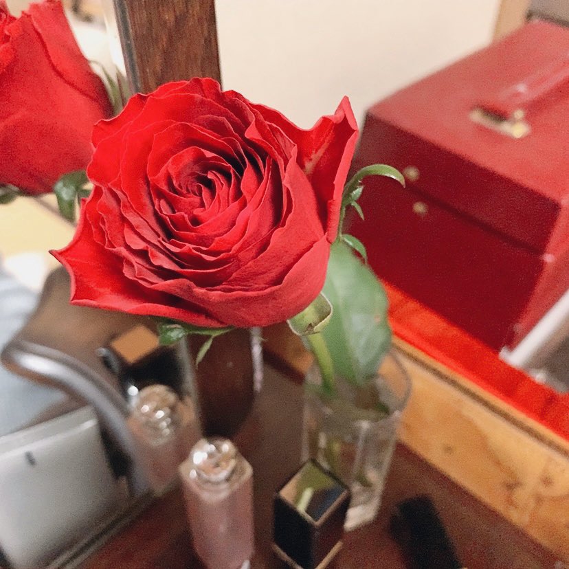 いただきものの薔薇  一輪
鏡台の脇に飾って眺めています☺️🌹

お化粧がいつもより愉しいです https://t.co/uWPzof6Po5