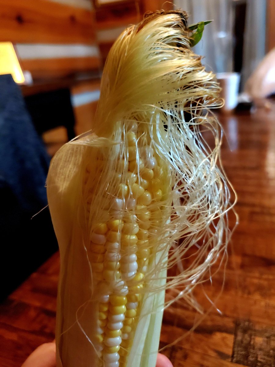 kennysaylors's tweet photo. Grilled this corn tonight. It's the best corn. There's no corn better than this. Believe me, I've tried all the corn and this is the best there ever was. #MCGA
#MakeCornGreatAgain #MAGA #Trump #MakeAmericaGreatAgain #corn https://t.co/D4yhcomGXA