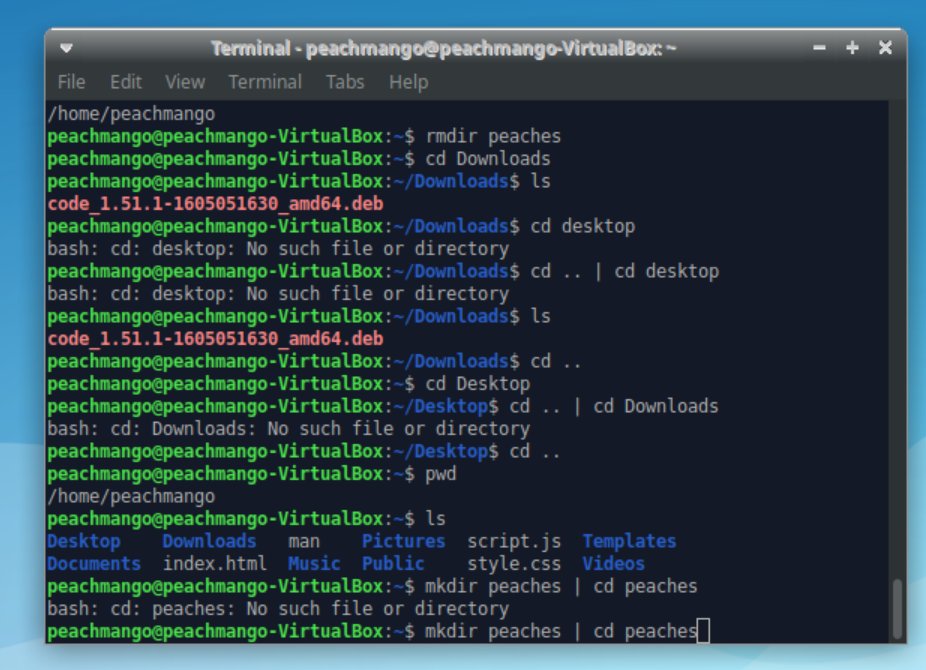 nerdypeachmango's tweet image. This is how I'm spending my evening. Learning command line! Taking notes and making and removing and coping directories until it's etched into my brain. #girlswhocode #codingfordummies