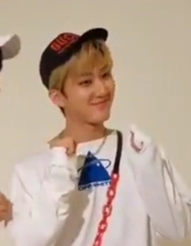 low quality photos of high quality paws