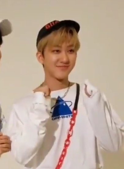 low quality photos of high quality paws