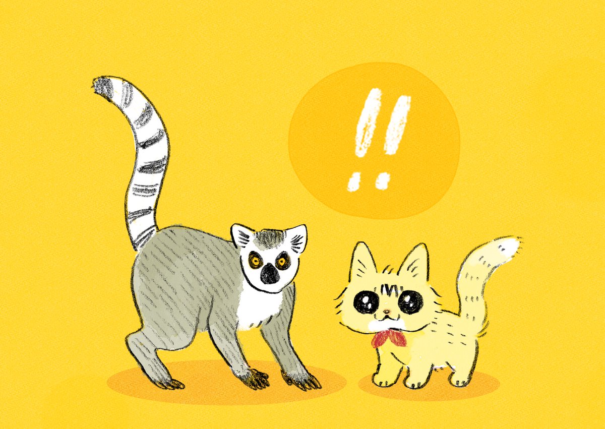 no humans cat animal focus ! yellow background simple background animal  illustration images