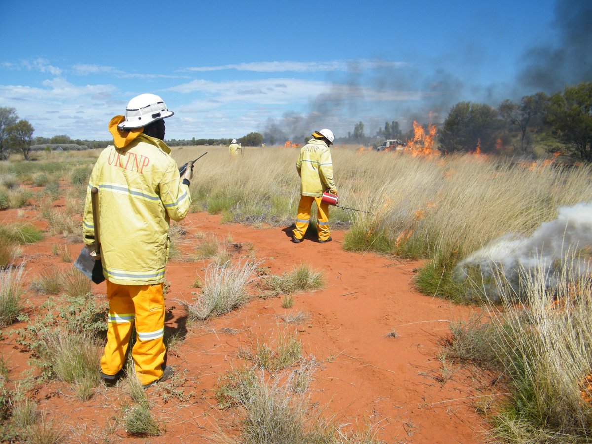 indigenous_gov's tweet photo. Grants from $20,000 to $200,000 are available from @envirogov to support the delivery of Indigenous Fire and Land Management Workshops. 

Find out more at https://t.co/ChY3nrtoiu

Applications close 10 December 2020

Photo Credit: @Parks_Australia 

#WorkingOnCountry https://t.co/cI1v5hQJ3u