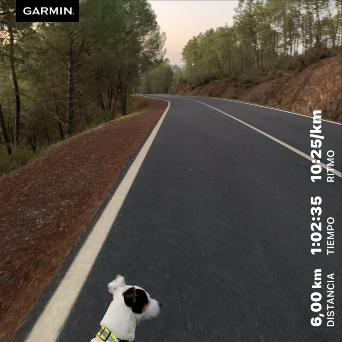 pedrodominguezz's tweet photo. Permanence, perseverance and persistence despite all obstacles, discouragements and impossibilities: this is what distinguishes strong souls from weak ones. Thomas carlyle. #resilience #Staystrong #respect #staysafe #walkingthedog #walk @ComuniRunners @ManicomioRunner #canicross https://t.co/ienP58pgi2