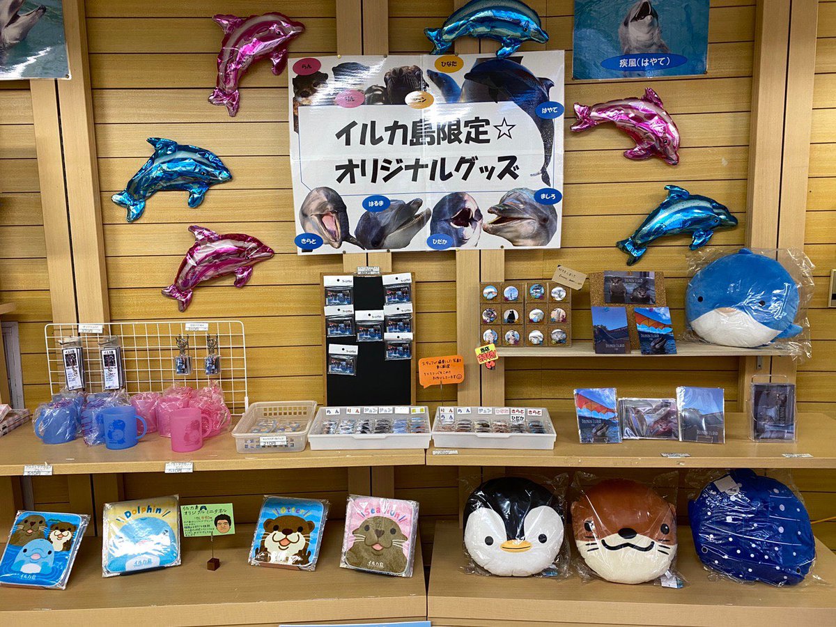 イルカ島だより】 イルカ島オリジナル缶バッジに続き、オリジナルの イルカ島だより】 イルカ島オリジナル缶バッジに続き、オリジナルの