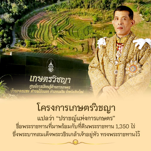 Skybride4's tweet photo. เนื่องจากโควิด-19 พระองค์ทรงสร้างโครงการเกษตรวิชญาเ��ื่อสร้างงานและรายได้ให้กับประชาชน {{{(>_<)}}} #รักกันคือรักชาติ #เราจะเดินไปด้วยกันด้วยความรัก https://t.co/UEBtNmn1hz