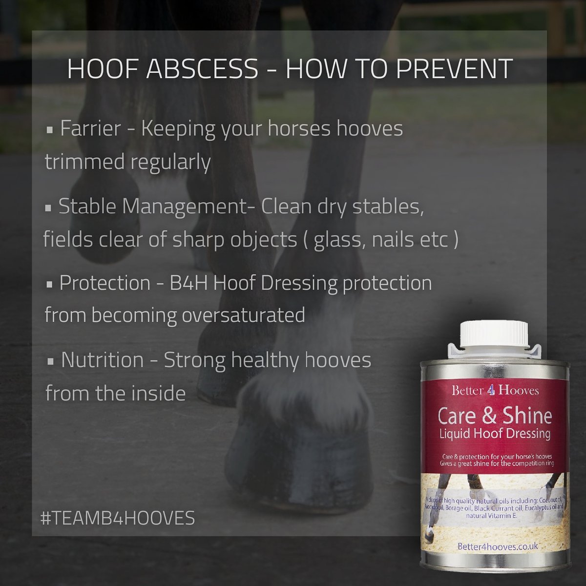 Better4Hooves tweet media