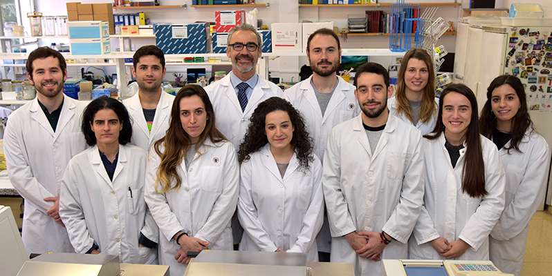 Complutense tweet media