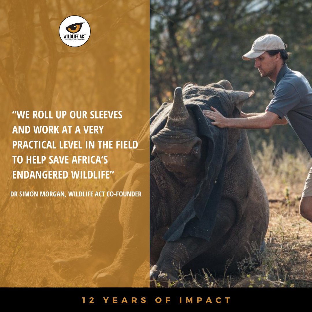 wildlifeact's tweet photo. We are proud founding members of @ProjectRhinoKZN which has allowed for round-table cooperation between state, private & civil society to jointly tackle macro-level issues that affect all Rhino stakeholders in the province.
Celebrating #12YearsofImpact! https://t.co/dpqfPZsFIz https://t.co/gsntrXWDUG