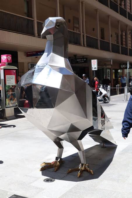 LeastHesFunny_'s tweet photo. Call me crazy, but has anybody else in Adelaide noticed that it’s suddenly all gone to shit ever since that f**king pigeon was installed?!? #ItsCursed #CursedITellsYa #LetsKillIt #SAlockdown https://t.co/SvhFUFmfWO