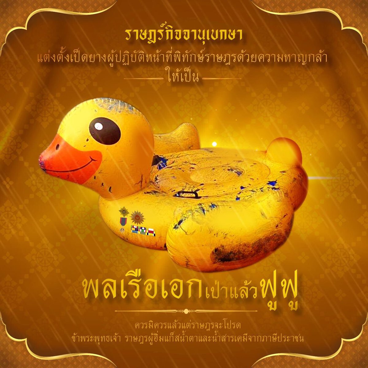 jay-jay tweet media