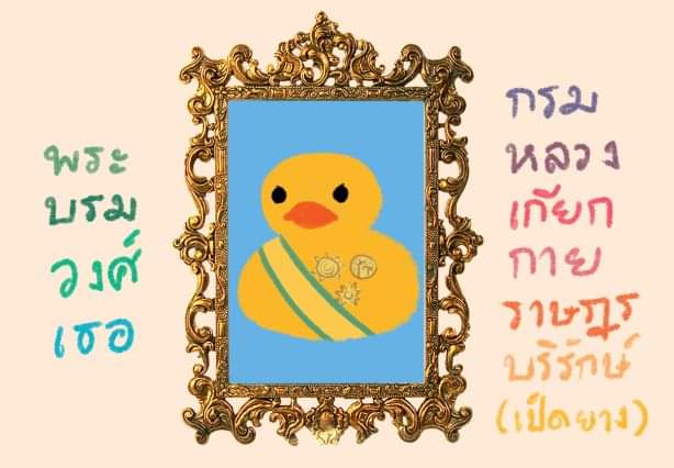 jay-jay tweet media