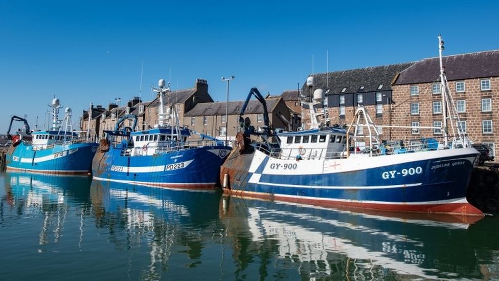 BD_Stew's tweet photo. What's the state of play with the #Brexit and #fisheries negotiations? My take on @BBCFarmingToday 9:15 minutes in: https://t.co/UoubYjMT8P #fishing #seafood #trade https://t.co/H6XRGG2JTh