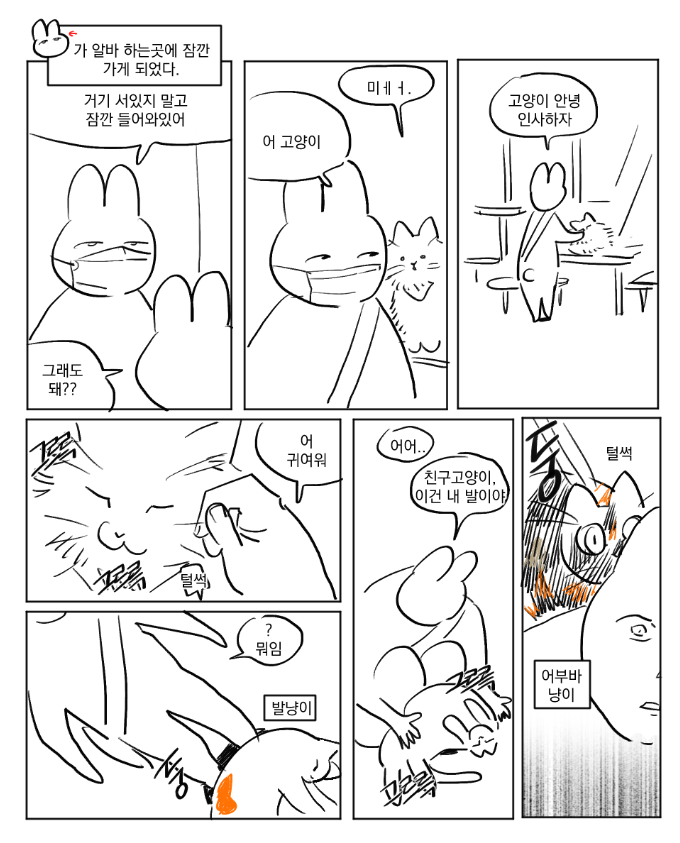 333X666X's tweet photo. 고양이랑 이렇게 가까운거 처음임 https://t.co/BaLy4XvzIk