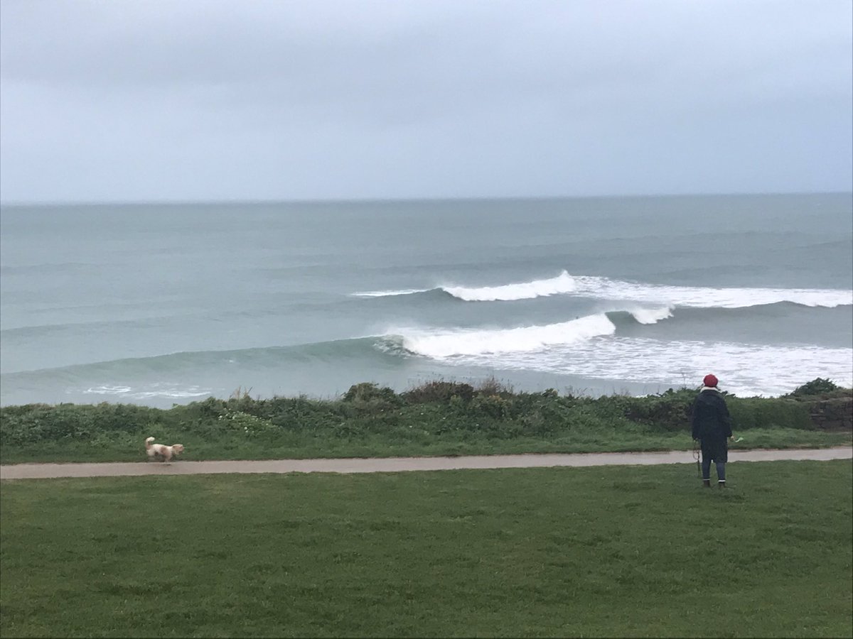 CarveMag's tweet photo. A few lines and scruffy dog. Wind and swell increasing on west coasts. East coast, swell coming ... https://t.co/nuO5OGFGDt