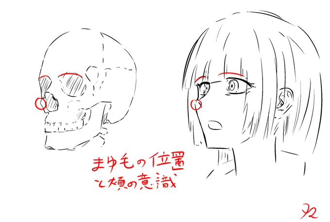 合ってるか間違ってるか分からないけど自分用メモ
頬をもっと意識せねば 
