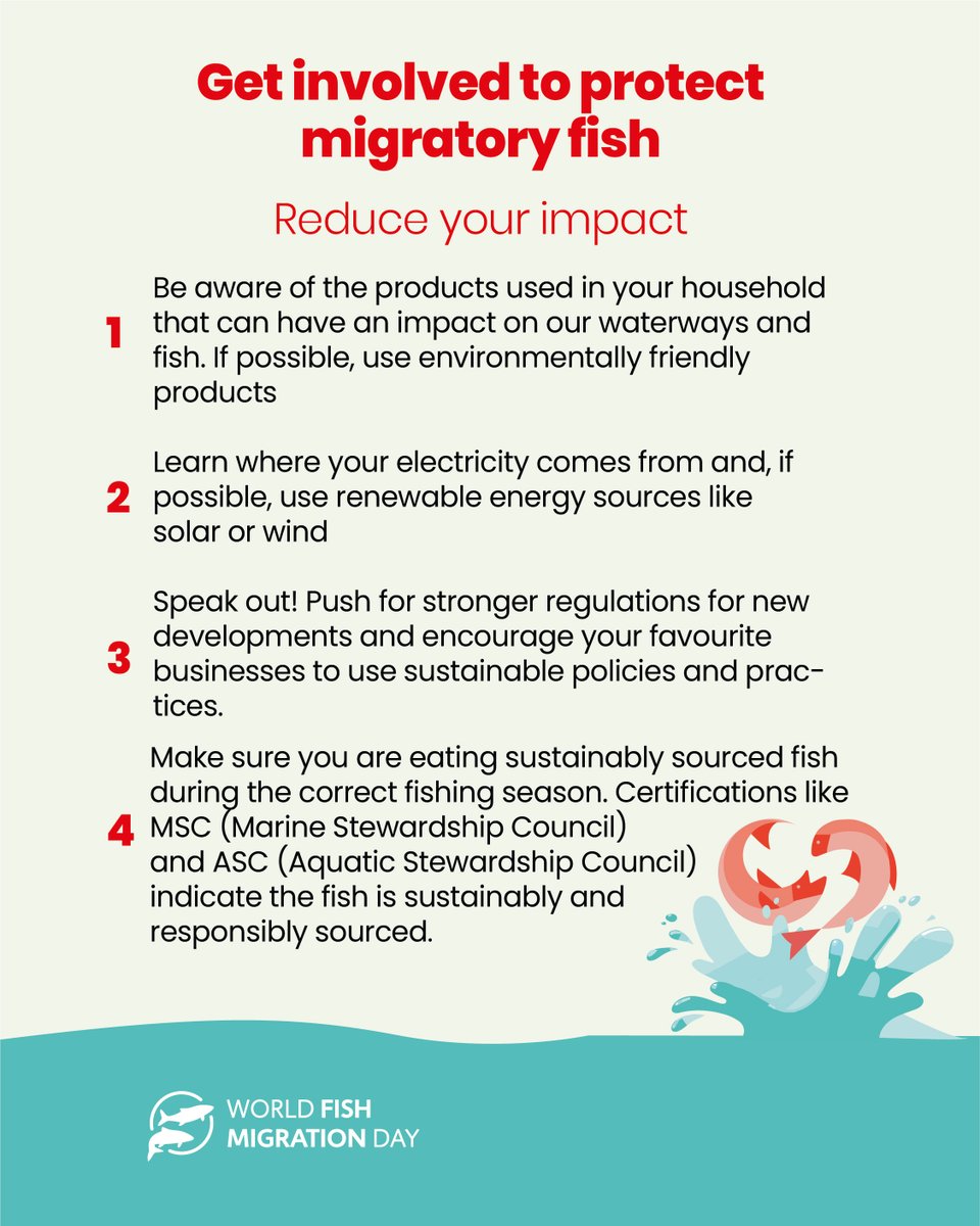 fishmigration's tweet image. Reduce your impact to protect #migratoryfish 🐟
From the #products that we use in our everyday life, to the source of the #energy we use, to the #food we eat: let&apos;s help our fishy friends!
Last post of #getinvolved series! Make sure to share it 😉

#fishmigration #reduce #change