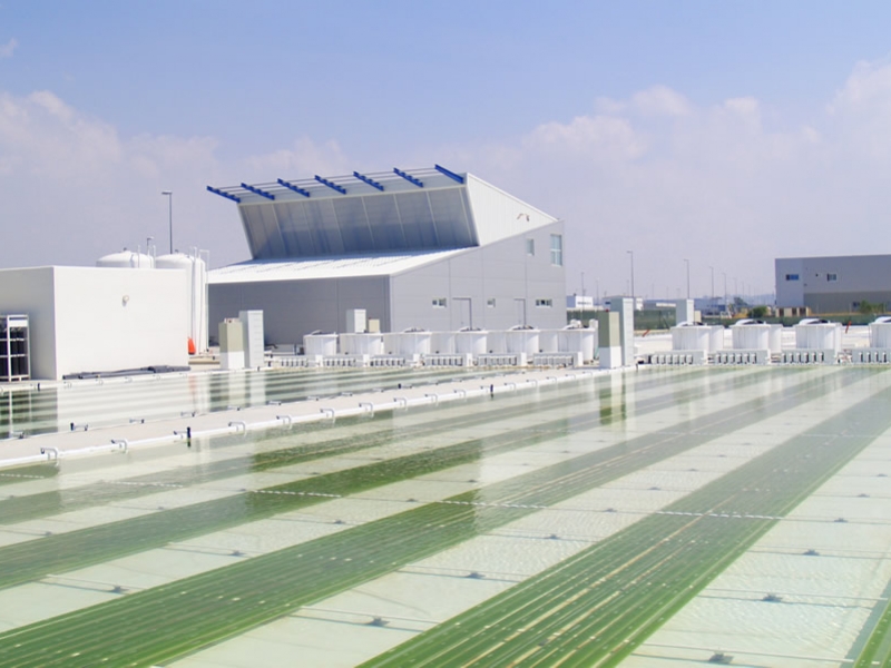 dermalgae's tweet image. Nuestros laboratorios han trabajado intensamente durante años para ofrecer este último avance para la salud de la piel: #Dermalgae
dermalgae.com