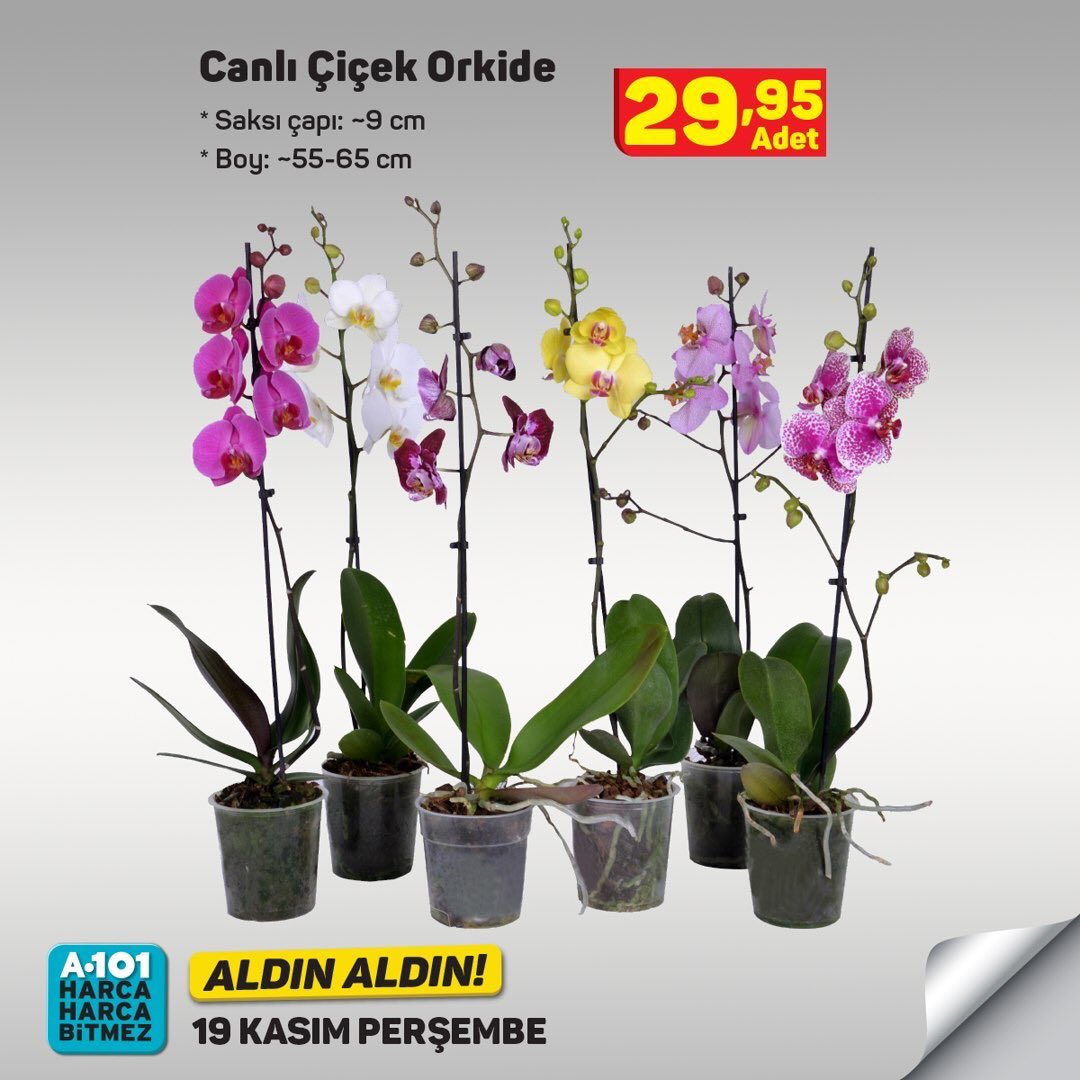 A101 19 Kasım Aldın Aldın Fırsatları
.
.
.
.
.
.
.
.
.
#düğün #kına #kınagecesi #tatil #deniz #ebebek #joker #çocuk #oyuncak #haftasonu #lcw #gratis #watsons #civil #market https://t.co/faKw7yxT13