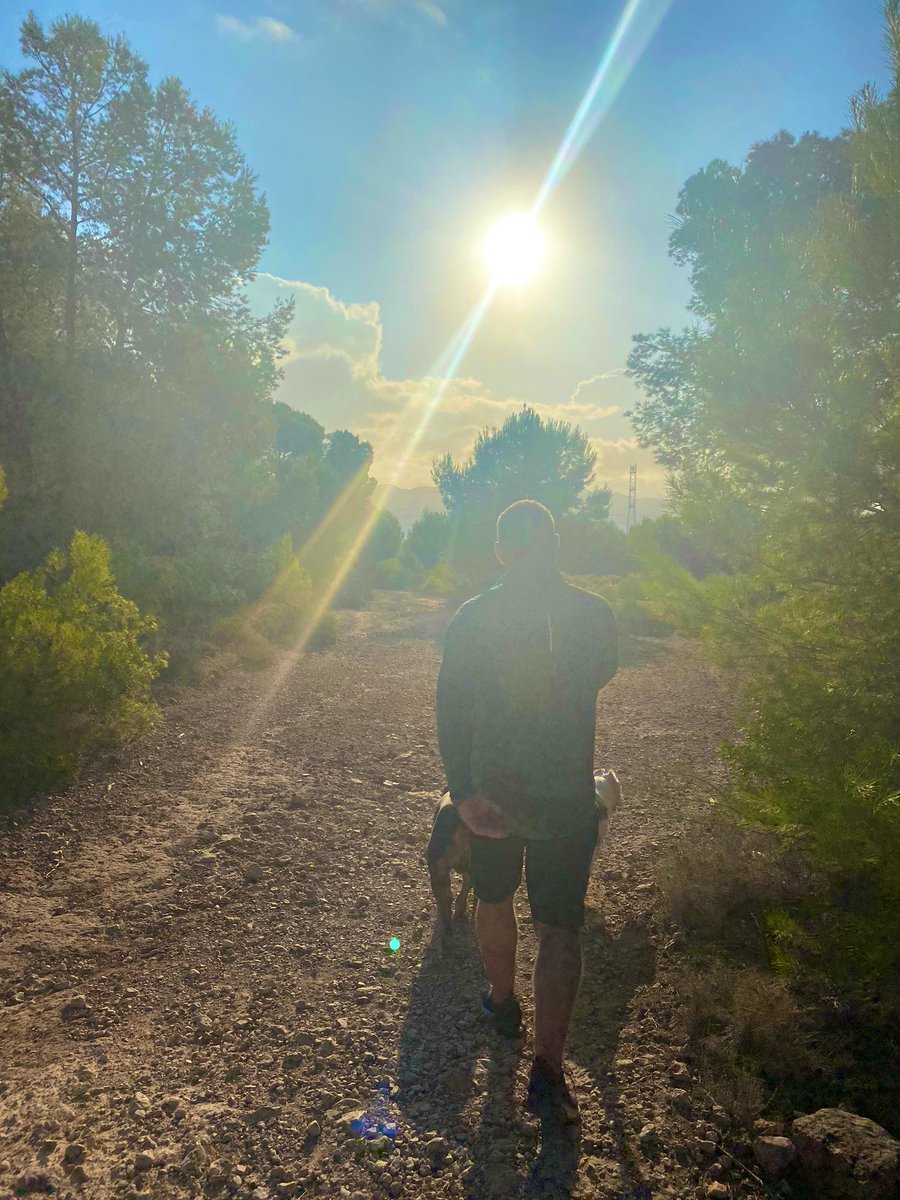SamThomasx's tweet photo. Morning walks 💜 https://t.co/3PyKWEtqoR