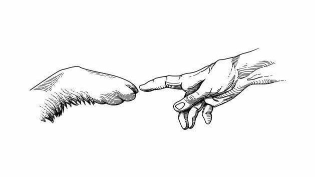 𝙀𝙭𝙪𝙡𝙖𝙣𝙨𝙞𝙨 tweet media