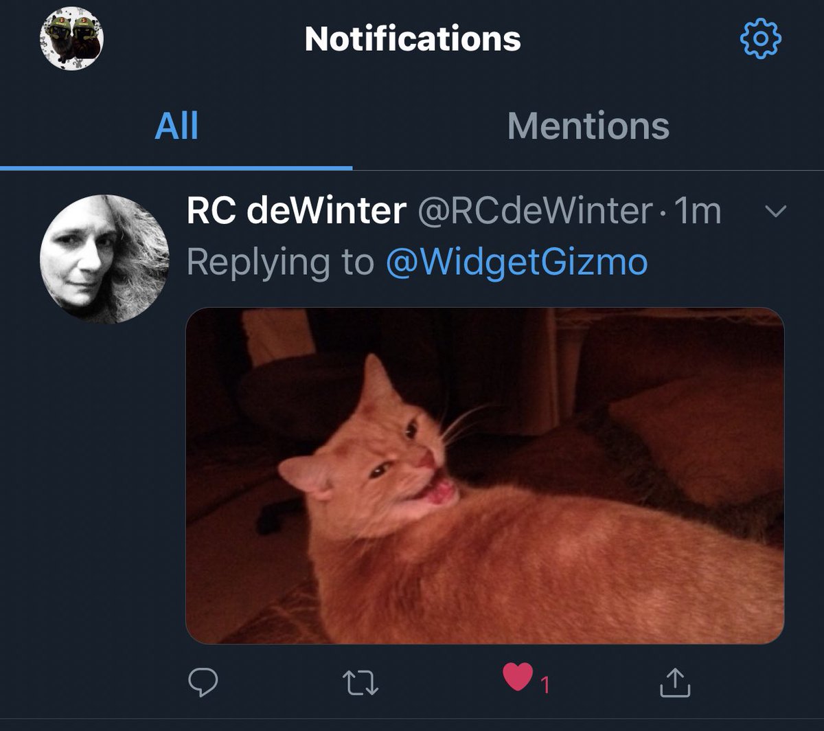 WidgetGizmo's tweet photo. Widget has buddied up RC deWinterโs cat & The Bidenโs dogs.
I already was competing with the prestige of his #ZSHQ #theaviators #ChangsGang & #SpaceFurce memberships.
I officially have the least social clout in the household ๐
~ kittiemama
#catclout https://t.co/c5J2dgRNUb