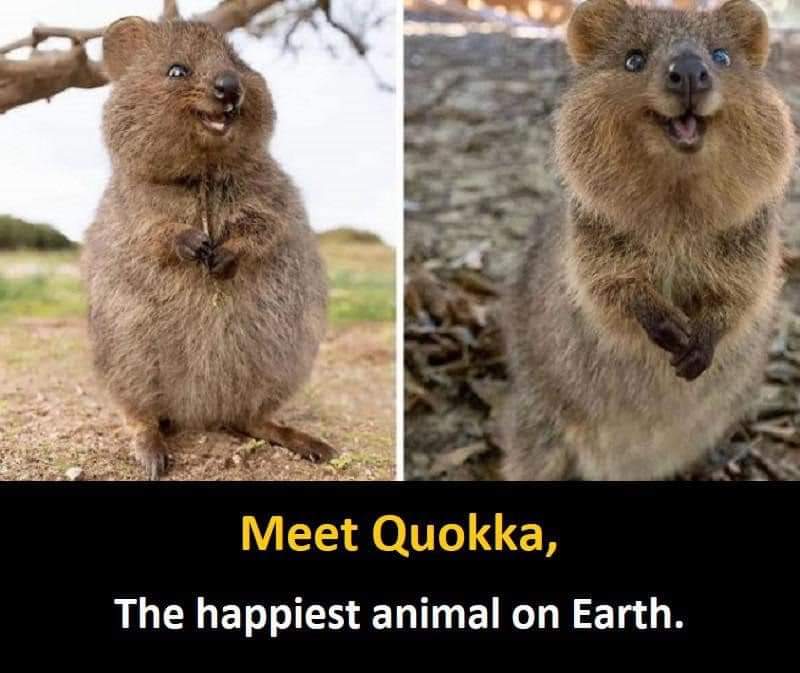 Keep #Smiling &amp; Generate More #Leads 😊