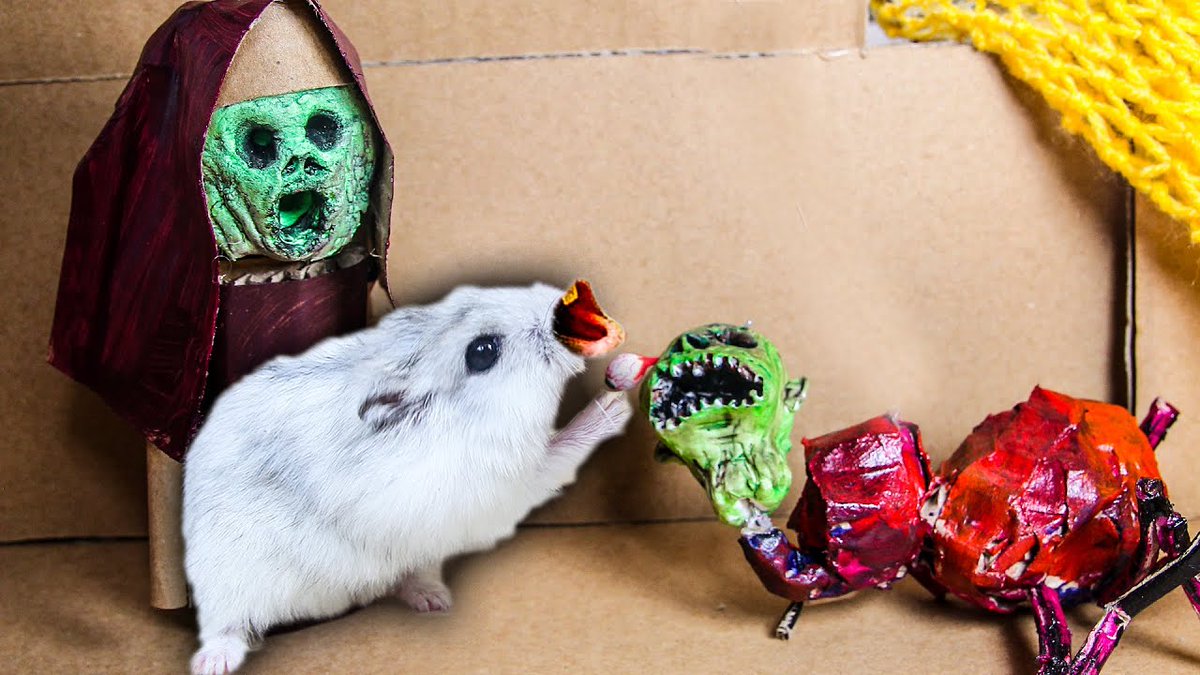 MinaEllen94's tweet photo. My hamster VS Ghost Mongoose with Traps OBSTACLE COURSE https://t.co/2qXoHkCSZj
#likeforlike #follobackforfolloback #pets #animal #cute #cardboard #challenge #adorable #hamster #animallovers #maze #trap #DIYtoy #handmade #Winteriscoming #monsterland #ghost https://t.co/1vAnVIx5aW