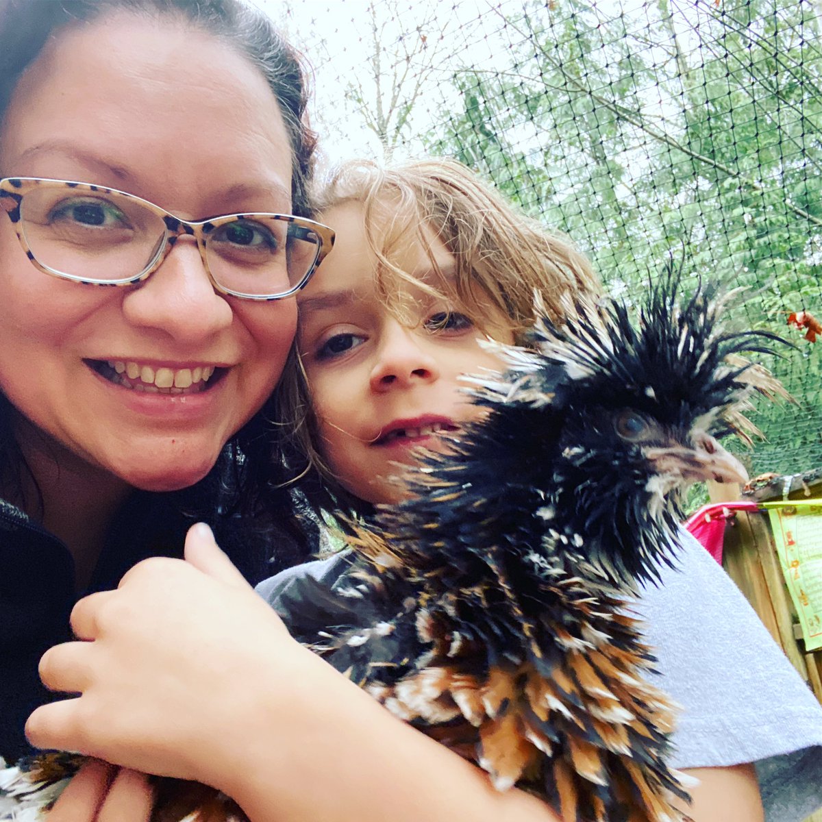 Chickenlandia1's tweet image. Oops! #chickenmath