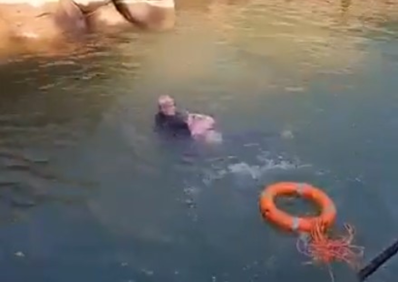 чжэнчжоу потоп. утопили человека паука в туалете. человек тонет в море. фильм про наводнение в китае. спасать тонущих людей в китае.