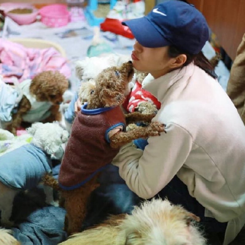 in my next life i wanna be born as a dog thx 