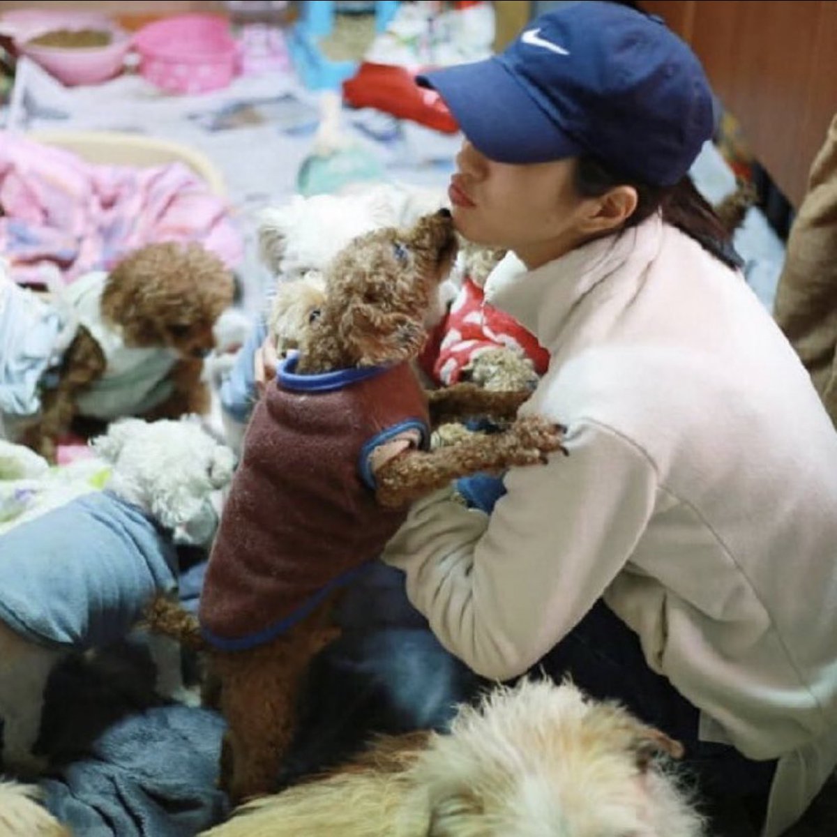 in my next life i wanna be born as a dog thx 