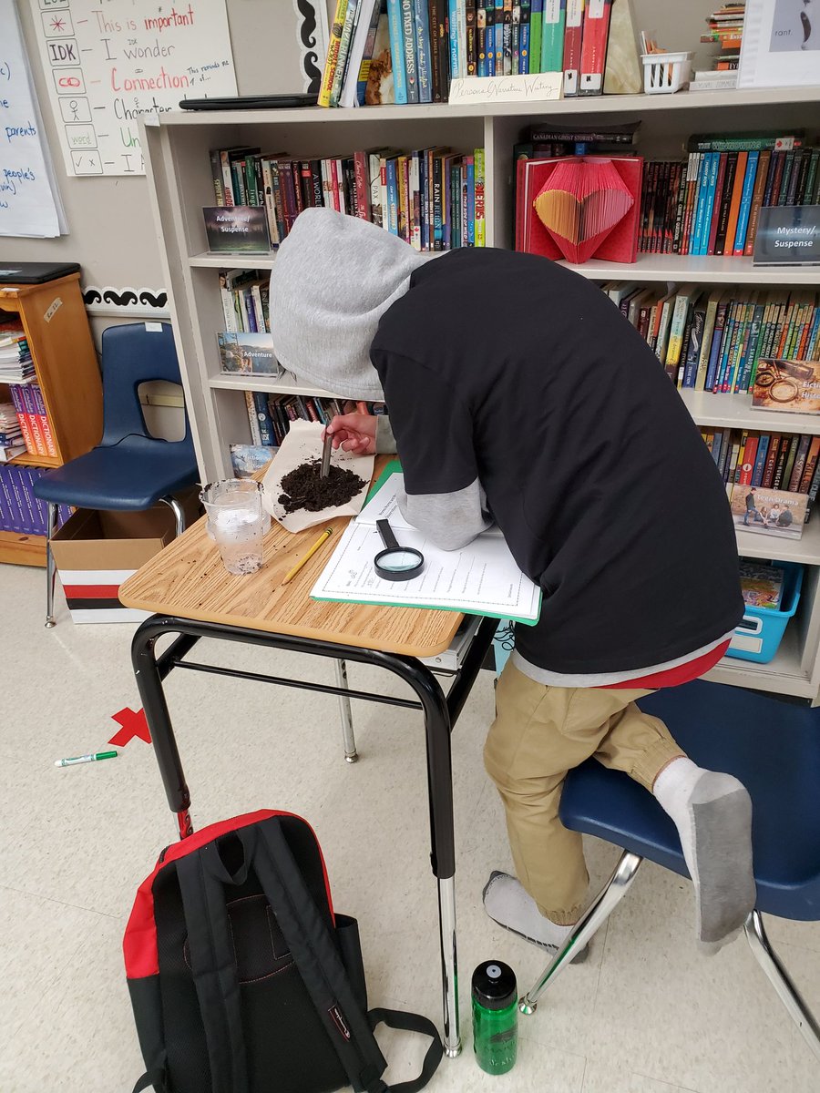 2bMysterE's tweet photo. Observing our vermi composting worms. Investigating what types of food they prefer to eat. Infographics coming soon... @marionLRSD https://t.co/SolAzVlN8P