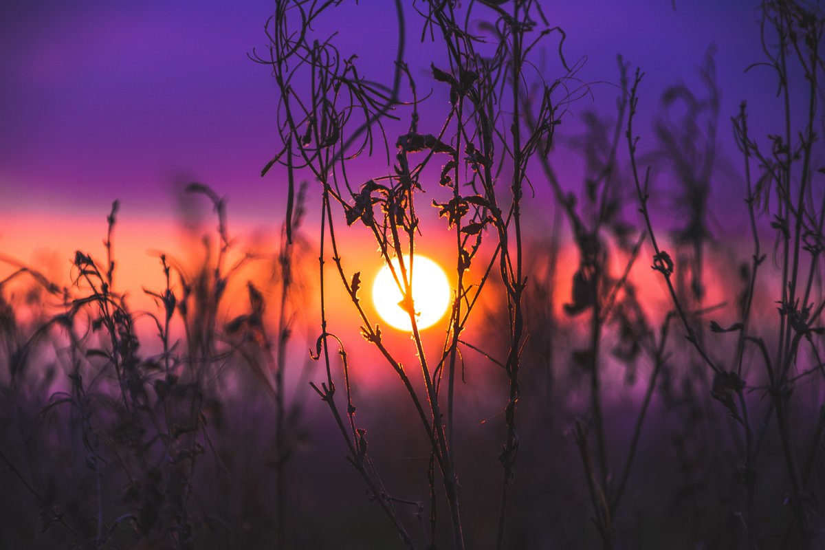 KatanaHugo's tweet photo. Good morning - Sawa Bona my friends
Photo by Igor Kasalovic
Photo by Jack B 
#photos #photography #morning #sunrise https://t.co/Wz9kWkDoYT