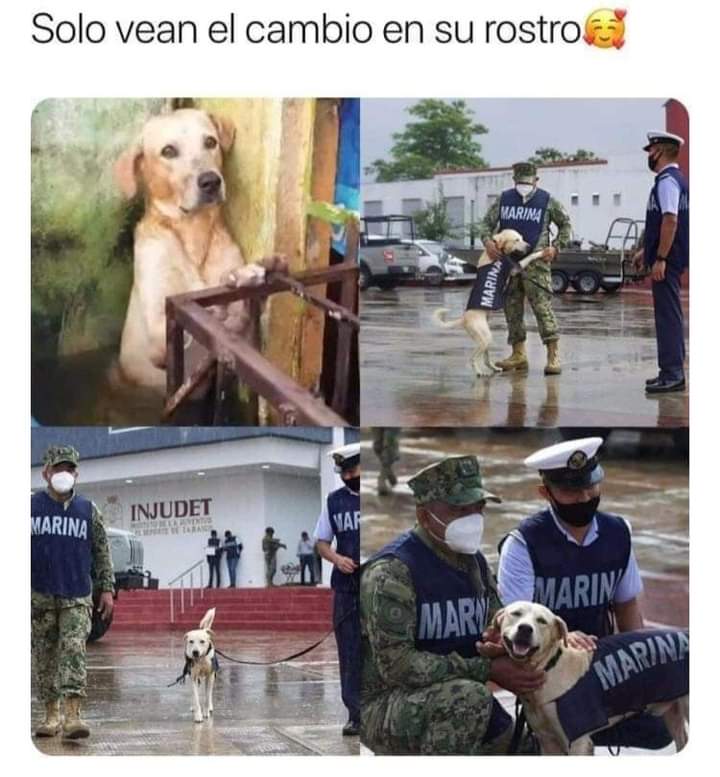 mascotamx's tweet photo. https://t.co/Q6SQqIJZTU