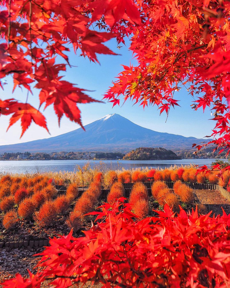 AestheticsJapan's tweet photo. Autumn in Japan
📸 - https://t.co/7gHisfwkdX https://t.co/llmFa3fSmJ