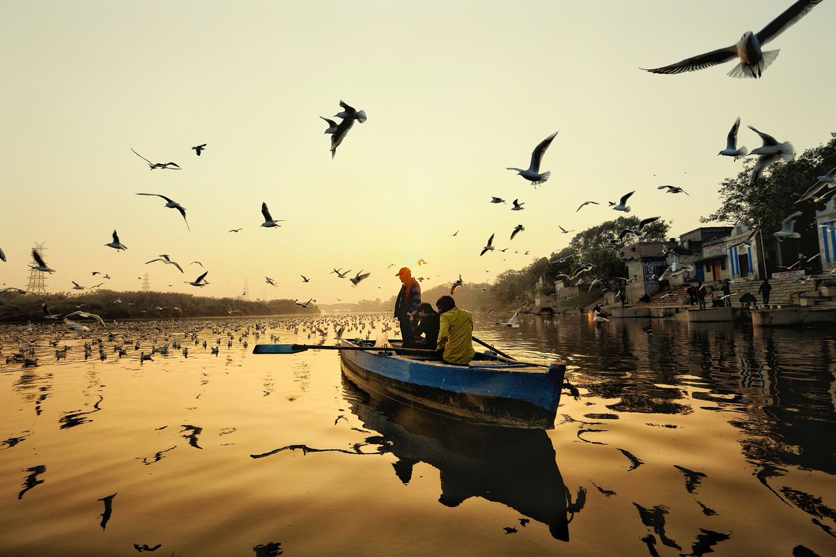 expressionswala's tweet image. When you do something beautiful and nobody noticed, do not be sad. For the sun every morning is a beautiful spectacle and most of the audience sleeps.”
.
.
Yamuna Ghat, Delhi IN.
#VijaySadasivuni #Expressionswala