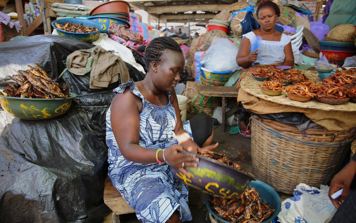 CGIAR's tweet image. Food security measures based only on quantity of food grossly underestimate the magnitude &amp;amp; severity of the problems the poor experience during rapid urbanization. What does a full consideration of #foodsecurity entail? on.cgiar.org/2HNe6F5 #nutrition #publichealth @IFPRI