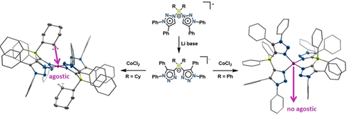 angew_chem's tweet photo. Isomerization reactions in anionic mesoionic carbene-borates and control of properties and reactivities in the resulting cobalt(II) complexes through #AgosticInteractions https://t.co/oMJ0hxdeoH https://t.co/BzLrj8foTR