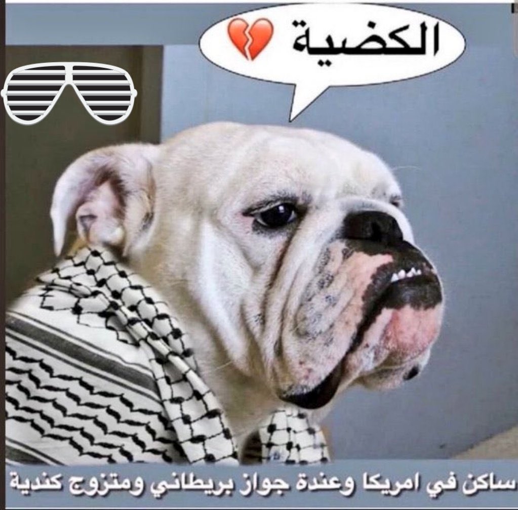 BinAli999's tweet photo. @KSA24 https://t.co/S0KesJXnZ0